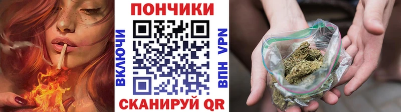 Наркошоп купить A-PVP  Канабис  МЕФ  ГАШИШ  Купино