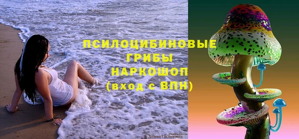 дживик Алексеевка