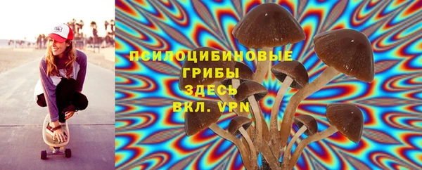 a pvp Алексин