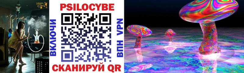Галлюциногенные грибы прущие грибы  Купить  Купино 